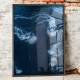 Quadro Decorativo �guas Vivas no Mar