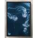 Quadro Decorativo �guas Vivas no Mar