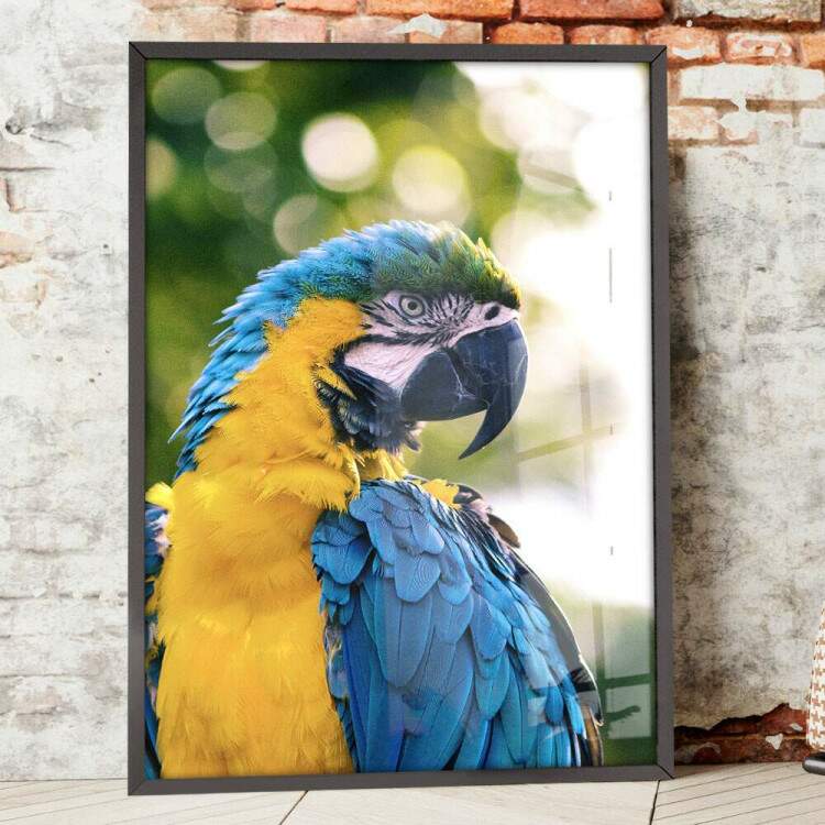 Quadro Decorativo Arara com Fundo Verde Embaado