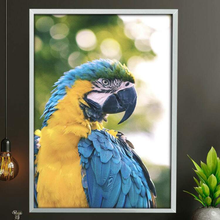 Quadro Decorativo Arara com Fundo Verde Embaado