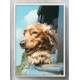 Quadro Decorativo Cachorro Passeando de Carro