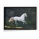 Quadro Decorativo Cavalo Branco Correndo