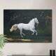 Quadro Decorativo Cavalo Branco Correndo
