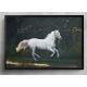 Quadro Decorativo Cavalo Branco Correndo