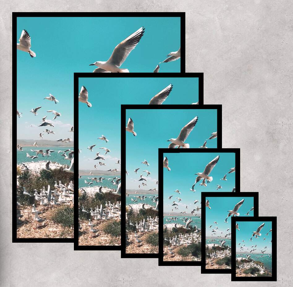 Quadro Decorativo Gaivotas na Beira do Mar