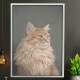 Quadro Decorativo Gato Fundo Cinza