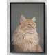 Quadro Decorativo Gato Fundo Cinza