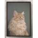 Quadro Decorativo Gato Fundo Cinza