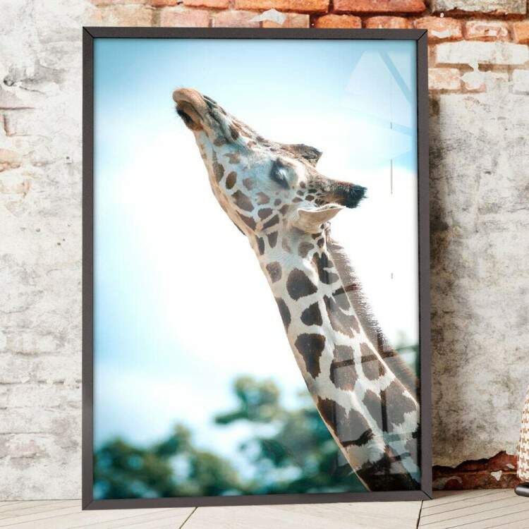 Quadro Decorativo Girafa com Fundo Embaado