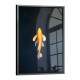Quadro Decorativo Peixe Laranja