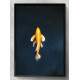 Quadro Decorativo Peixe Laranja