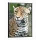 Quadro Decorativo Leopardo