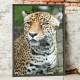 Quadro Decorativo Leopardo