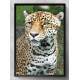 Quadro Decorativo Leopardo