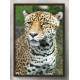Quadro Decorativo Leopardo