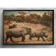 Quadro Decorativo Rinocerontes Caminhando