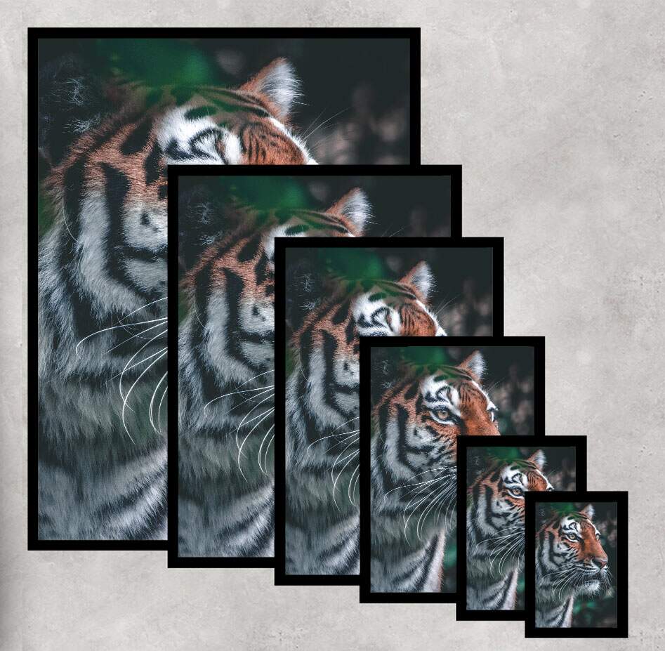Quadro Decorativo Tigre com Fundo Verde