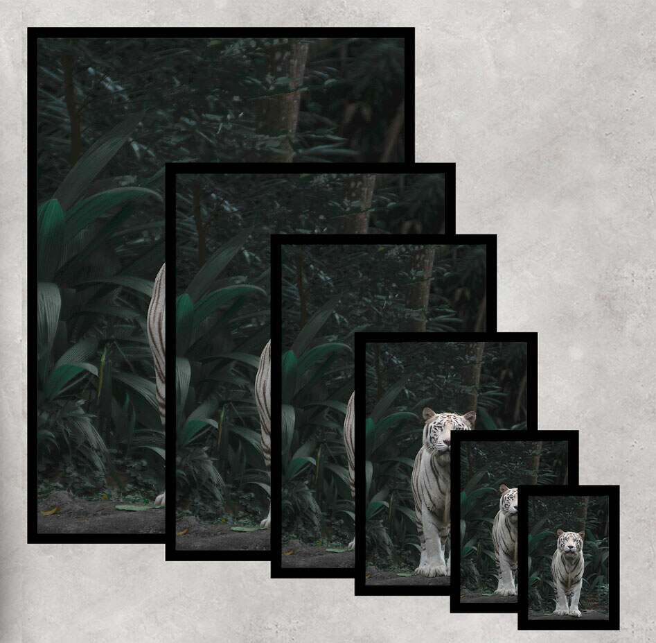 Quadro Decorativo Tigre em Floresta