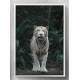 Quadro Decorativo Tigre em Floresta
