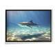 Quadro Decorativo Tubar�o no Mar