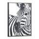 Quadro Decorativo Zebra com Fundo Branco