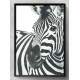 Quadro Decorativo Zebra com Fundo Branco