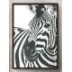 Quadro Decorativo Zebra com Fundo Branco