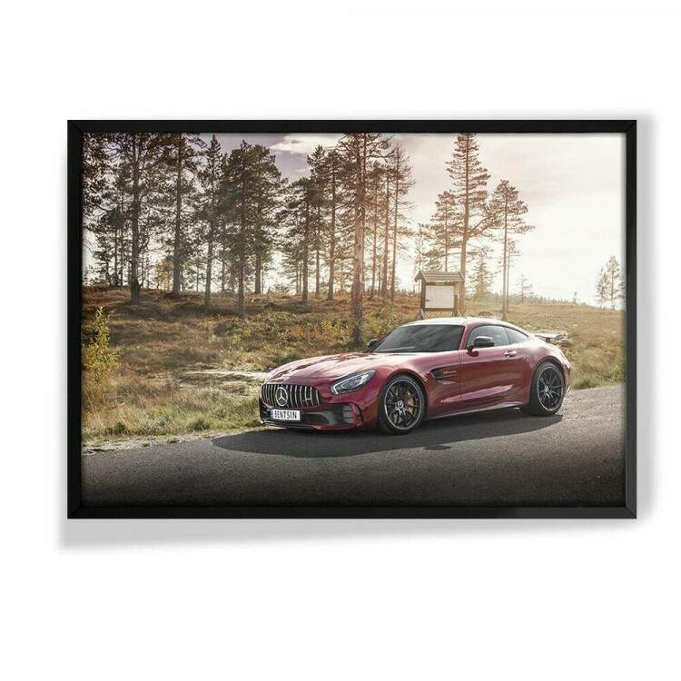 Quadro Decorativo Carro Mercedes AMG GT