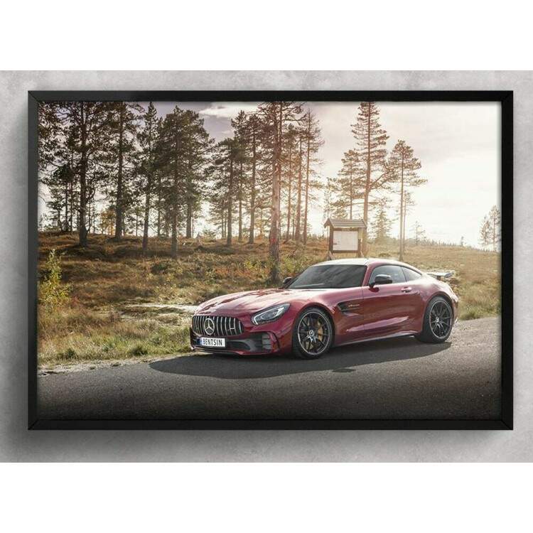 Quadro Decorativo Carro Mercedes AMG GT