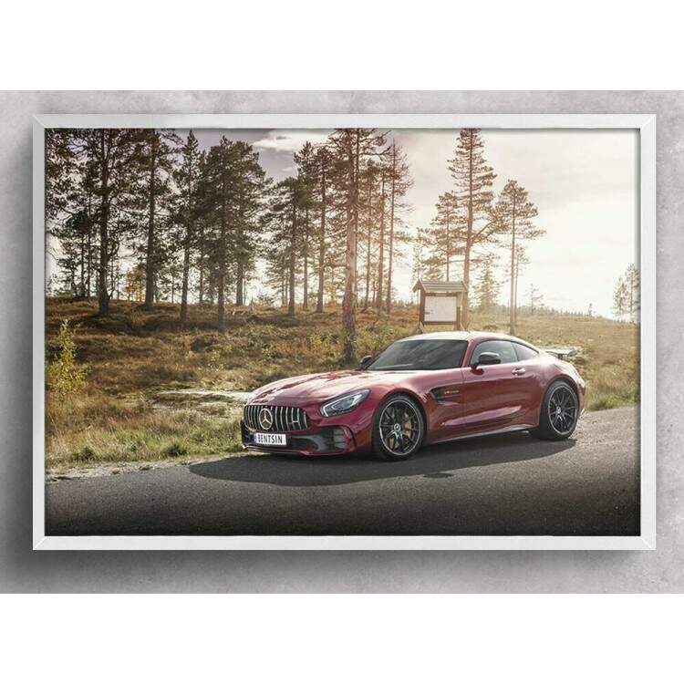 Quadro Decorativo Carro Mercedes AMG GT