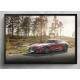 Quadro Decorativo Carro Mercedes AMG GT