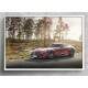 Quadro Decorativo Carro Mercedes AMG GT