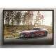 Quadro Decorativo Carro Mercedes AMG GT