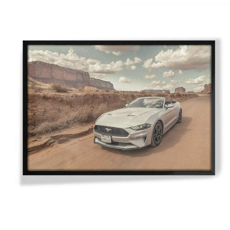 Quadro Decorativo Carro Mustang Branco