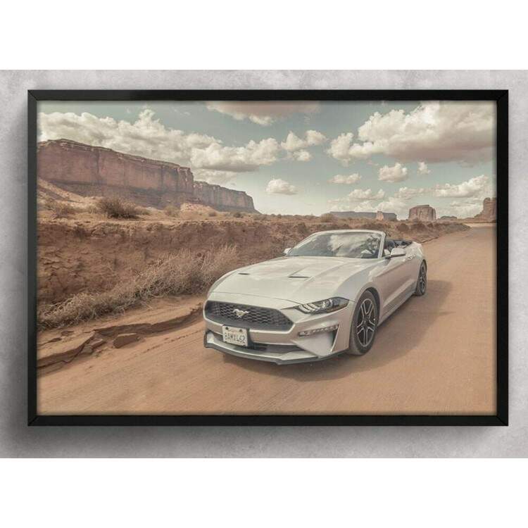 Quadro Decorativo Carro Mustang Branco