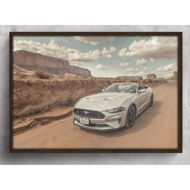 Quadro Decorativo Carro Mustang Branco