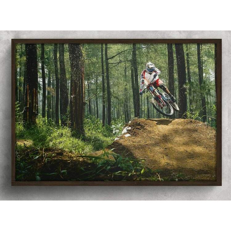 Quadro Decorativo Esporte Mountain Bike