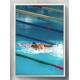 Quadro Decorativo Esporte Nata��o