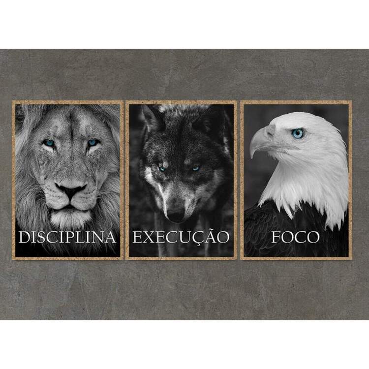 Kit 3 Quadros Decorativos Motivacional Disciplina Execuo Foco