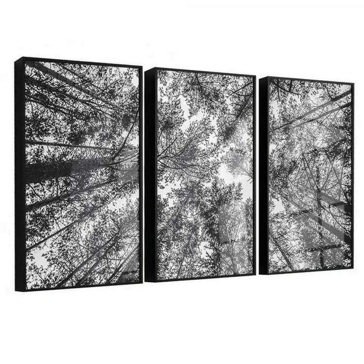 Kit 3 Quadros Decorativos Floresta Preto e Branco
