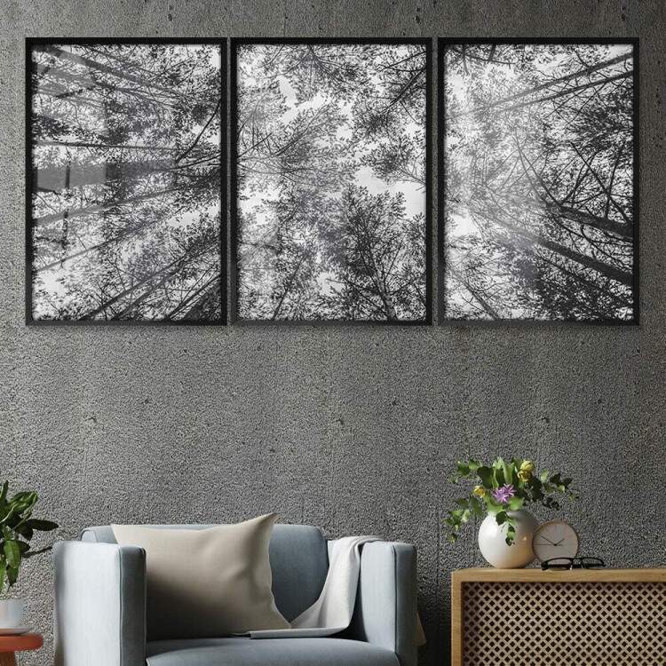 Kit 3 Quadros Decorativos Floresta Preto e Branco