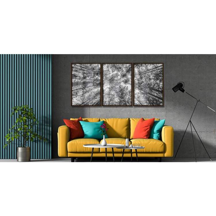 Kit 3 Quadros Decorativos Floresta Preto e Branco