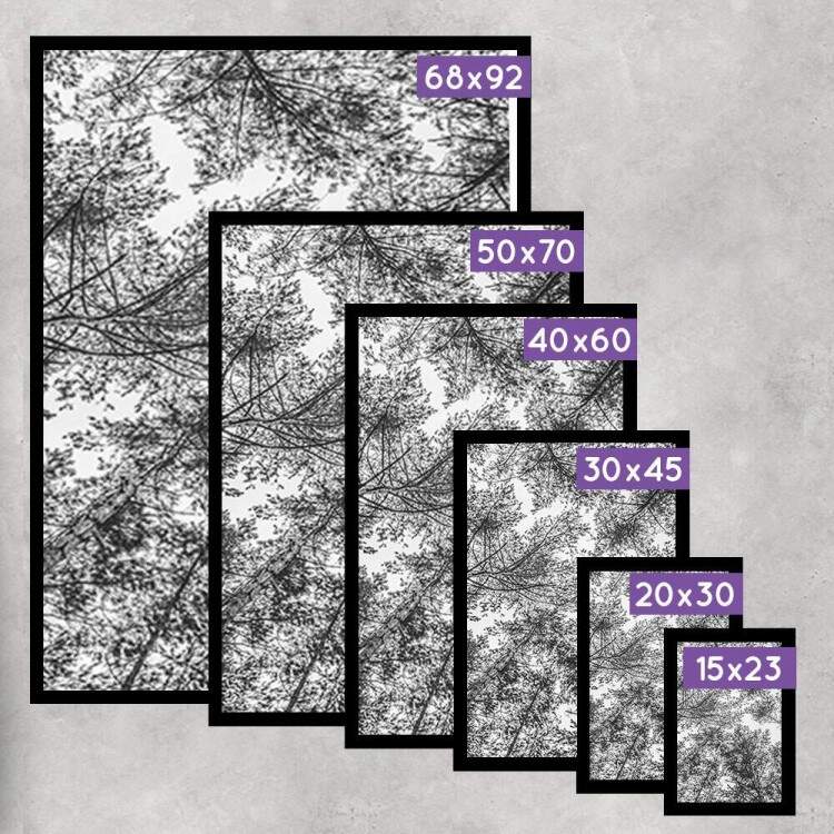 Kit 3 Quadros Decorativos Floresta Preto e Branco