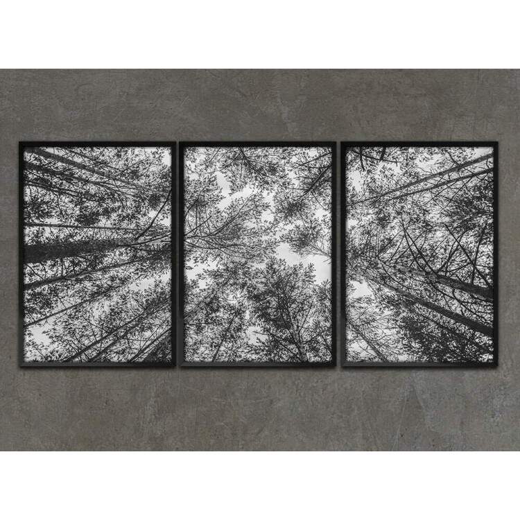 Kit 3 Quadros Decorativos Floresta Preto e Branco
