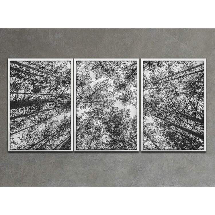 Kit 3 Quadros Decorativos Floresta Preto e Branco