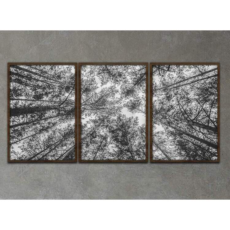 Kit 3 Quadros Decorativos Floresta Preto e Branco