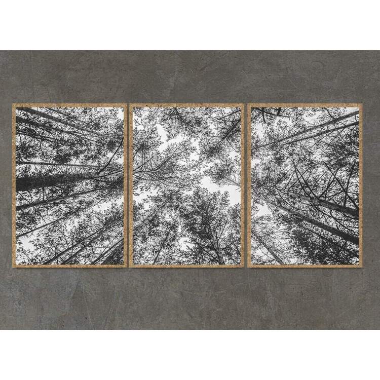 Kit 3 Quadros Decorativos Floresta Preto e Branco