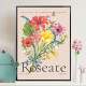 Quadro decorativo - Floral Estilo Contempor�neo Roseate