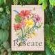 Quadro decorativo - Floral Estilo Contempor�neo Roseate
