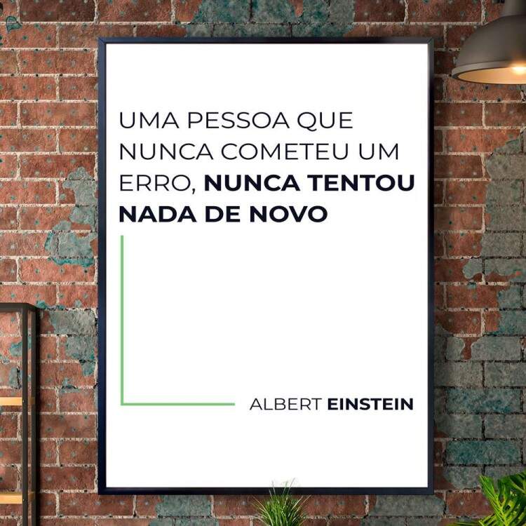 Quadro decorativo - Business Uma Pessoa Que Nunca Cometeu Um Erro, Nunca Tentou Nada de Novo